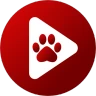 Bear Player icon