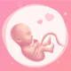 Ma Suivie de Grossesse. icon