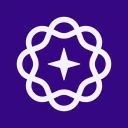 Vanish - Private AI icon