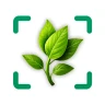 Planteidentifikator icon