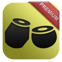 Rhythm Tabla & Tanpura PREMIUM icon