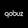 Qobuz: Music & Editorial icon