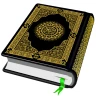 Holy Quran 16 Lines Al-Quran icon