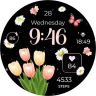 ReS28 - Seasonal Watch Face icon