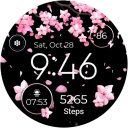 Seasonal Watch - Animated icon