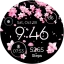 Seasonal Watch - Animated icon