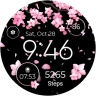 Seasonal Watch - Animated icon