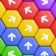Hexa Run - Block Puzzle icon