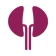 Dialysis of Drugs icon