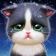 パズにゃん icon