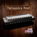 Harmonica Real icon