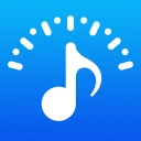 Viritin & Metronomi icon