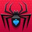 Classic Card: Spider Solitaire icon