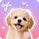 Stickify: Sticker Maker icon