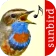 Vogelstimmen Id - Ruf + Gesang icon