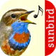 Vogelstimmen Id - Ruf + Gesang icon