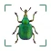 BUND Insekten Kosmos icon