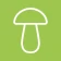 Sieniäppi icon