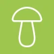 Sieniäppi icon
