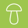 Sieniäppi icon