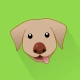 Dog Monitor: Puppy video cam icon