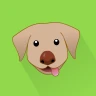 Dog Monitor: Puppy video cam icon