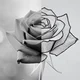 Tattoo stencil maker icon