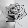 Tattoo stencil maker icon