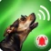 Chien Ringtone papier peint icon