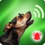 犬の鳴き声の着信音の壁紙 icon