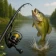 Fishing Clash: Sportssim icon