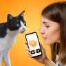 CatTranslator - Cat to Human icon