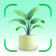 Plantes Reconnaissance & Soins icon
