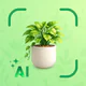 Plantes IA: Scan & Soin icon