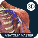 Anatomy Master icon