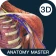 Anatomy Master icon