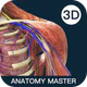 Anatomy Master icon