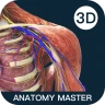 Anatomy Master icon