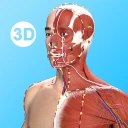 経絡ツボ3D icon