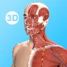 経絡ツボ3D icon