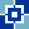 VidyoConnect icon