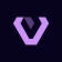 Vidzy-Well Organized icon