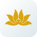 Vietnam Airlines icon