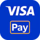 Visa Pay icon