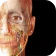 Visible Body Suite icon