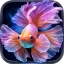 Fish Live Wallpaper 4K icon