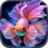Fish Live Wallpaper 4K icon