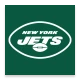 Official New York Jets icon
