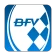 BFV icon