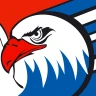 Adler Mannheim Fan App icon